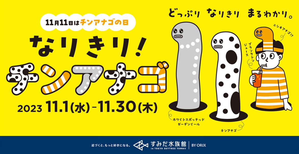 3種のチンアナゴたちになりきって記念日をお祝い！すみだ水族館「なりきり！チンアナゴ」イベントを企画提案